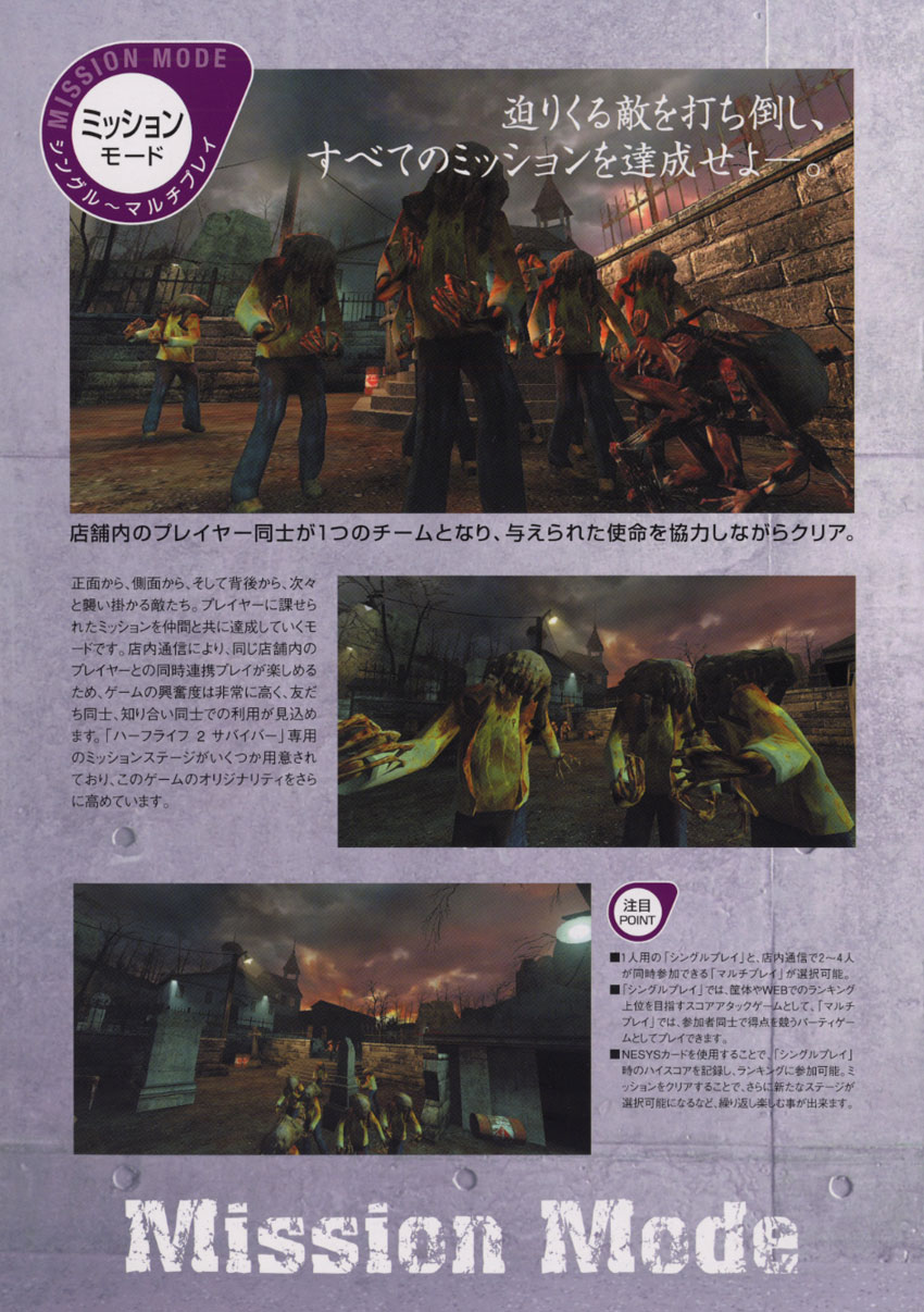 Unknown Half-Life-2-Survivor-Flyer
